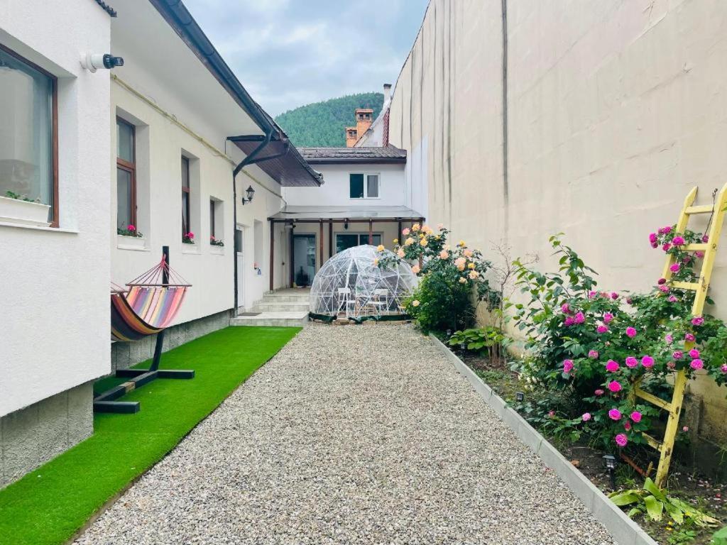 Appartement Schei Brasov-Скей Брашов Extérieur photo